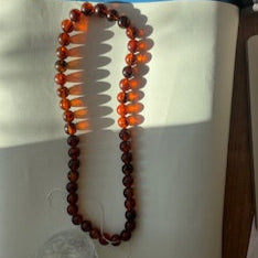 New In